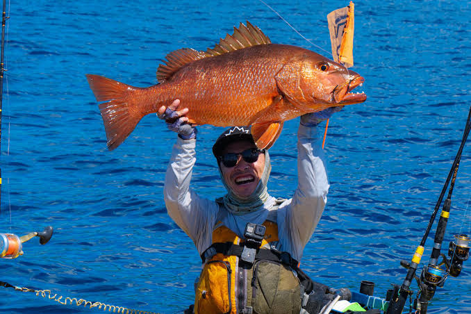 Pesca en Panamá: guía práctica del Pacífico